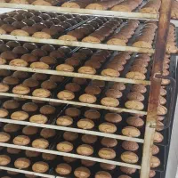 استخدام نیروی خانم و آقا