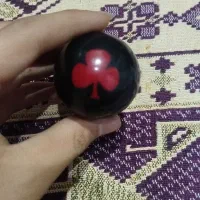 سر دنده طرح گیشنیز