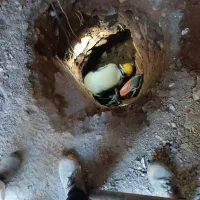 چاه کن مغنی ..تخریب ساختمان|خدمات پیشه و مهارت|محمدیه-قزوین, |دیوار