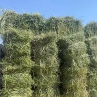 یونجه ی عالی