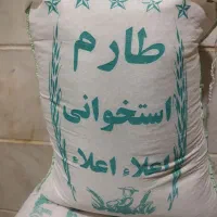 برنج طارم استخوانی