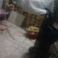 مصالح