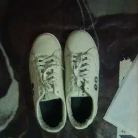 ابزار کار کفش