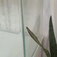 اکواریوم|ماهی|ری, شهادت|دیوار