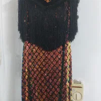 لباش مجلسی سایز ۴۰ یا۴۲|لباس|لشت نشا, |دیوار