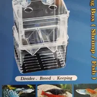 آکواریوم شیشه خم با لوازم|ماهی|بروجرد, |دیوار