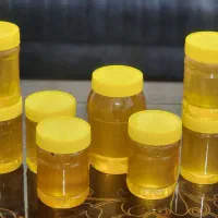 عسل طبیعی با ارسال رایگان و پرداخت درب منزل