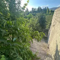 باغ چهار دیواری در محدوده شهری مهستان تهاتر|فروش زمین و ملک کلنگی|هشتگرد, کوشک زر|دیوار