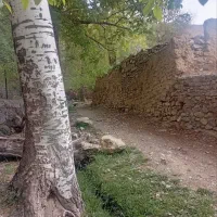 ۵۰۰ متر زمین روستای ریز داخل بافت