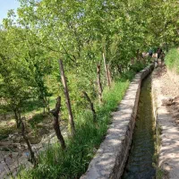 فروش-باغ-میشخاص