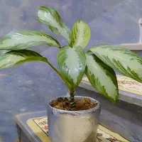 چند عدد گل طبیعی زیبا و سرحال