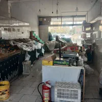 اجاره مغازه میوه فروشی