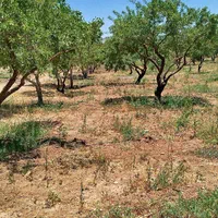 فروش زمین ۶۶۶ متری در محدوده پل زمانخان شوراب|فروش زمین و ملک کلنگی|اصفهان, فیض|دیوار