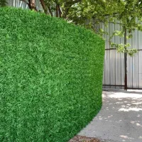 پخش چمن مصنوعی ،فنس چمنی و گرینوال|مصالح و تجهیزات ساختمان|سیرجان, |دیوار