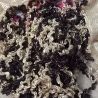 پرده ریسه ای