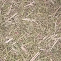 خار دانه دار|لوازم جانبی حیوانات|تربت جام, معدآباد|دیوار