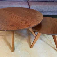 مبل رست / جلومبلی / آویز لباس (نو)  چوب راش|مبلمان خانگی و میز عسلی|ساری, |دیوار