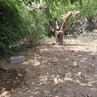 لواسان بزرگ چهار باغ|فروش خانه و ویلا|لواسان, |دیوار