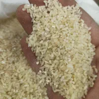خرده برنج کامفیروزی درجه بک
