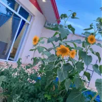 ویلا استخر دار