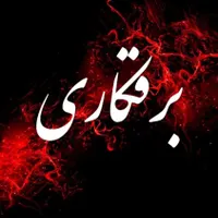 برقکاری ، سیار
