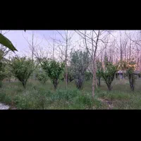 ویلا ۳۵۰۰ متری در محیطی امن|فروش خانه و ویلا|اصفهان, باغ زرشک|دیوار