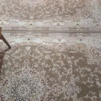 جفت ۶متری تمیز