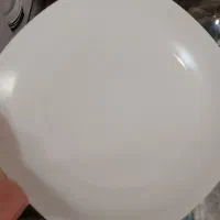 بشقاب پلو خوری