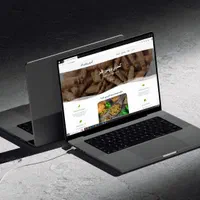 طراحی وب‌سایت‌ + پشتیبانی و سئو|خدمات رایانه‌ای و موبایل|نیشابور, ۲۲ بهمن|دیوار