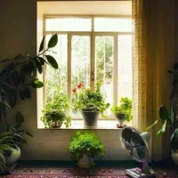 122متر-ویلایی-اسدابادی-امیر-کبیرها