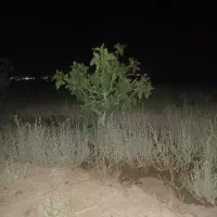 مشارکت برای کشاورزی و باغ مطالعه کنید لطفا