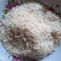 فجر سوزنی امساله درجه ۱