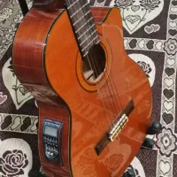 اریا ak80کات وی|گیتار، بیس، امپلیفایر|گنبد کاووس, |دیوار