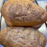 به یک نیروی خانم نیازمندیم