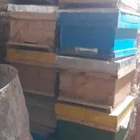 سلام. ۱۵عددکندو زنبور یک سال کار کرد
