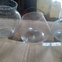 آکواریوم|ماهی|کرمان, |دیوار