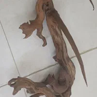 فروش چوب آبنوس برای آکواریوم