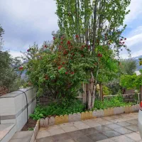 فروش زمین و باغ