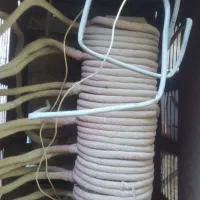ترانس جوش اما