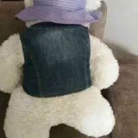 عروسک پولیشی خرس|اسباب‌‌بازی|ساری, |دیوار