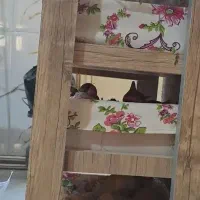 نظم دهنده ی آشپزخانه