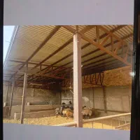 دامداری به متراژ حدود هزار متر|فروش دفتر صنعتی، کشاورزی، تجاری|کویرات, |دیوار