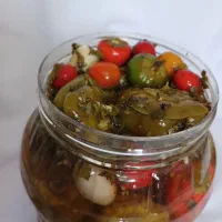 سفارش ۱۰ نوع ترشی سرکه و شوری