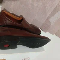 کفش مجلسی