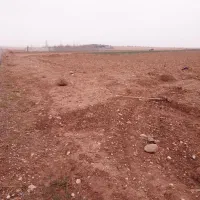 ۲ هکتار زمین با ترانز برق در ۸ کیلومتری مشهد|فروش دفتر صنعتی، کشاورزی، تجاری|مشهد, درزآب|دیوار