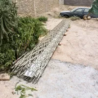 زمین زارچ