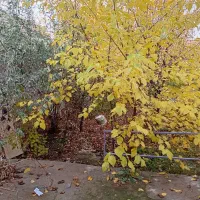 فروش منزل ویلایی|فروش خانه و ویلا|درگز, |دیوار