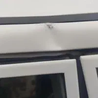 پرایدصندوقدارمدل ۸۸دوگانه شرکتی260000000ملیون