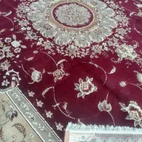 دوازده متری دوتا