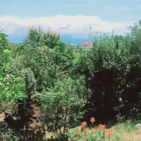 اجاره واحد ۱۲۰ متری راه جدا ۲خوابه واحد همکف